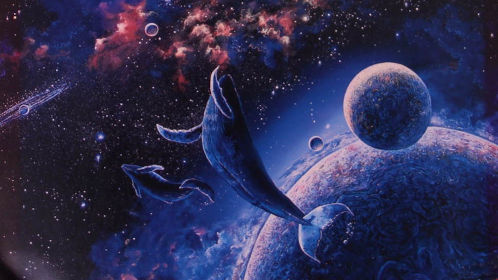 Так, це кит в космосі, просто читай далі 