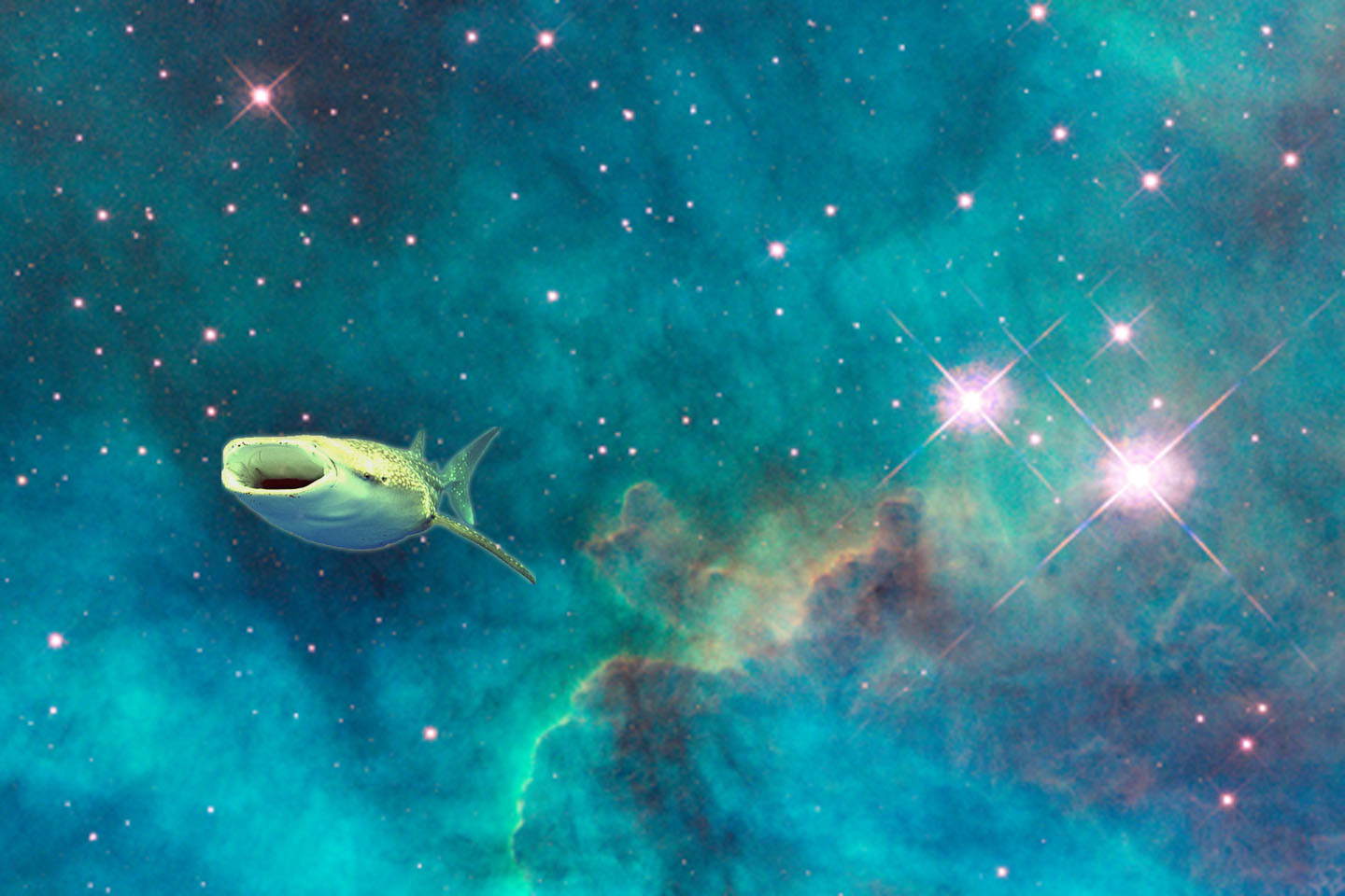 І ще цей гарненький whalespace