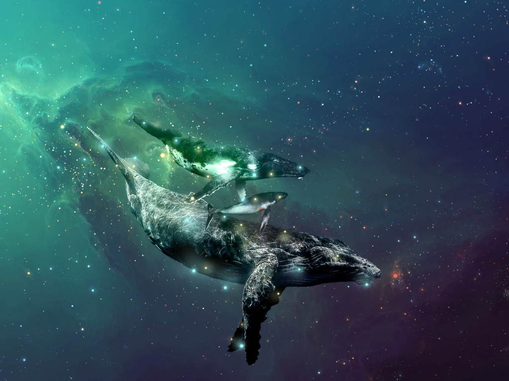 Ще трохи китів post-rock