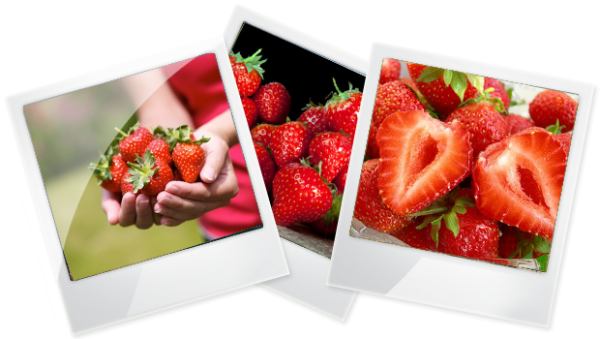 Туризм та відпочинок на Clout.com.ua https://clout.com.ua/