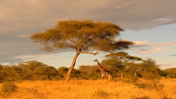 Туризм та відпочинок на Clout.com.ua https://clout.com.ua/